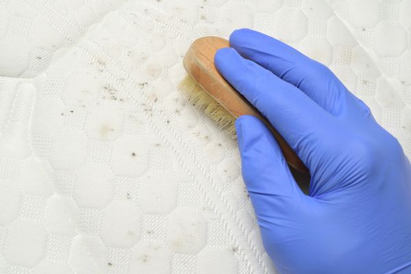 How to Remove Mould from Your Leather Jacket